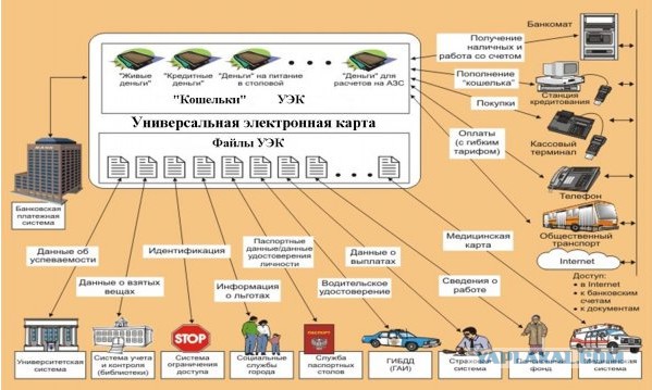 Тотальная слежка