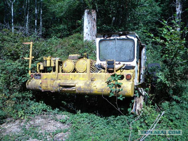 Игра на ЯПе: Угадай АВТО-8