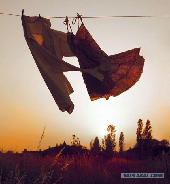 Весёлые картинки. Разбавим будни