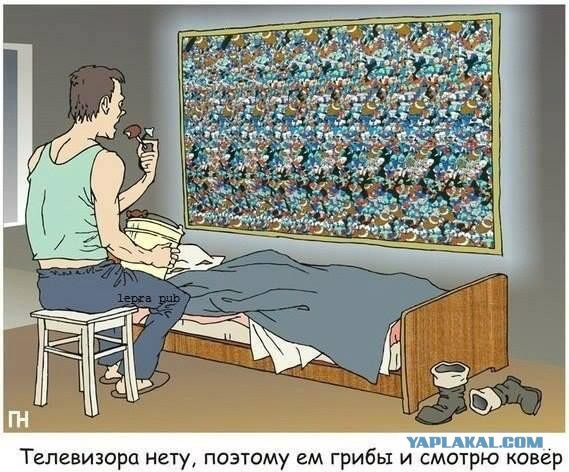 С миру по нитке. Демотиваторов чуть