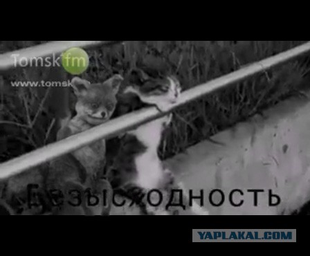 Начинаем пятничные КУБЫ