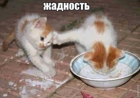 Поднимаем настроение