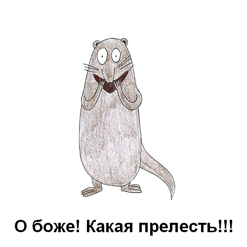 Алфавит