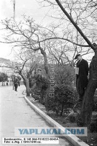 Фотоотчёт немецкого оккупанта