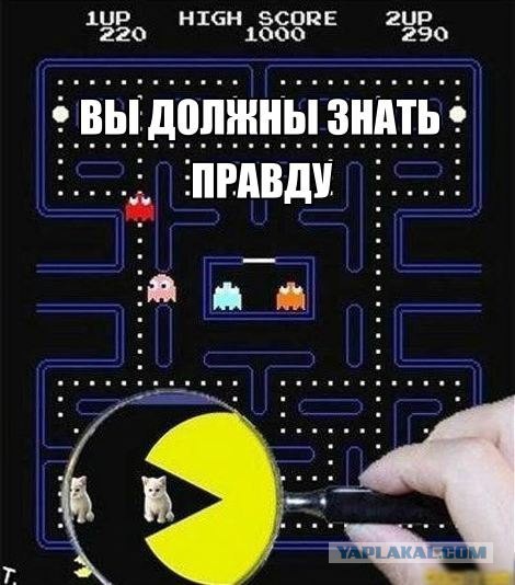 Подборка картинок