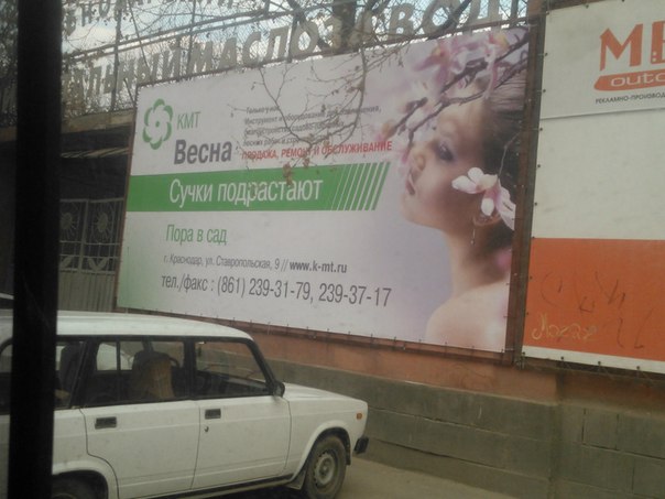 Веселые картинки