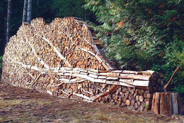 Морозное доброе утро или поленница перфекциониста