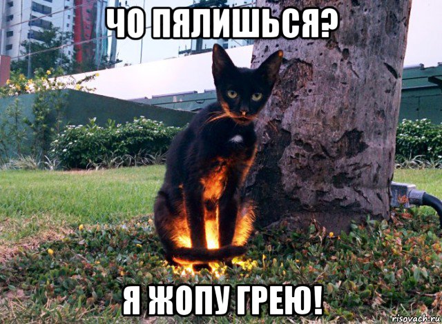 Подборка интересных и веселых картинок