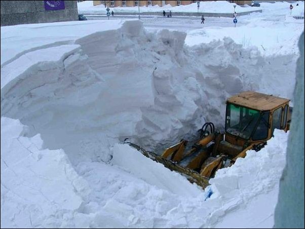 Про кота. Вертикального