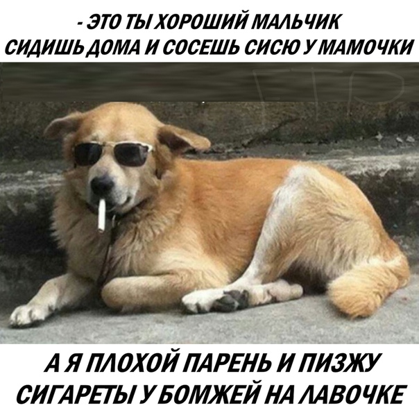 Немного картинок в эту среду