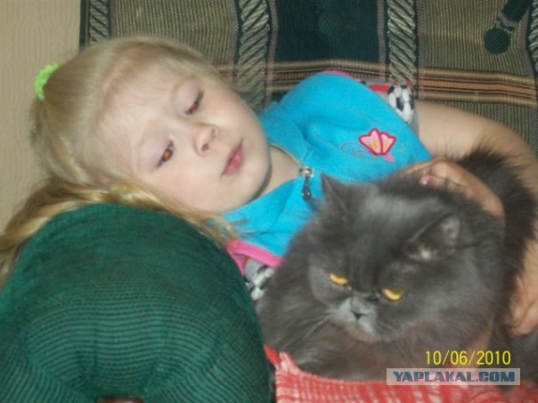 Котовторник 1.02.2011