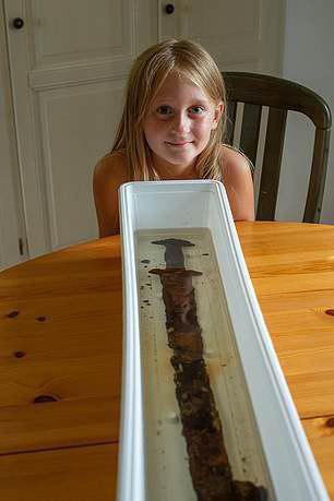 Восьмилетняя девочка нашла в шведском озере меч, которому 1,5 тысячи лет