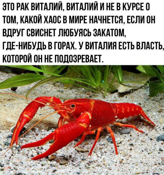 Метеорит в Хабаровском крае