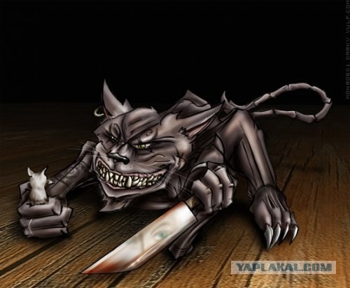 Кот с ножом