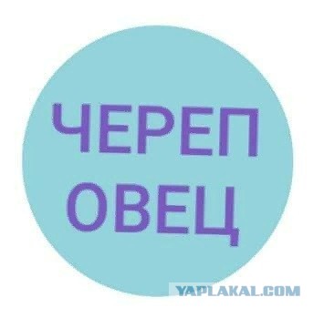 Чуток картинок!