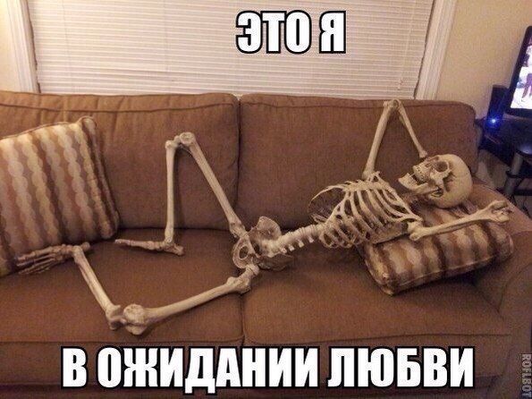 Алкопост! В картинках