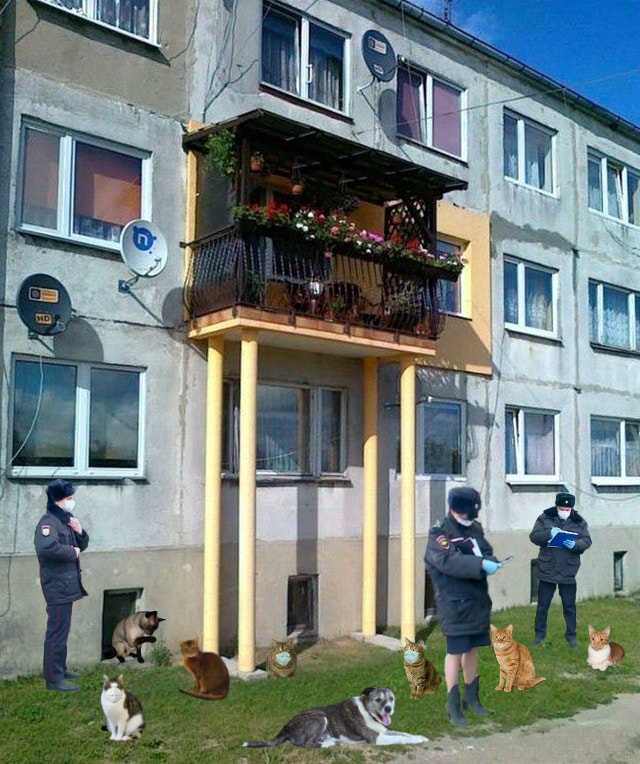 Фотожаба: Полиция штрафует