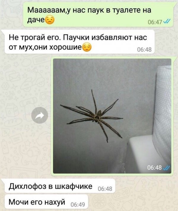 Фотки и картинки: юморные и красивые, забавные и милые 09.10.20