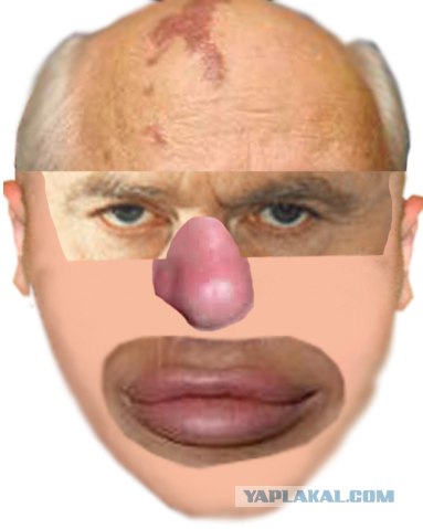 Создаем знаменитое лицо