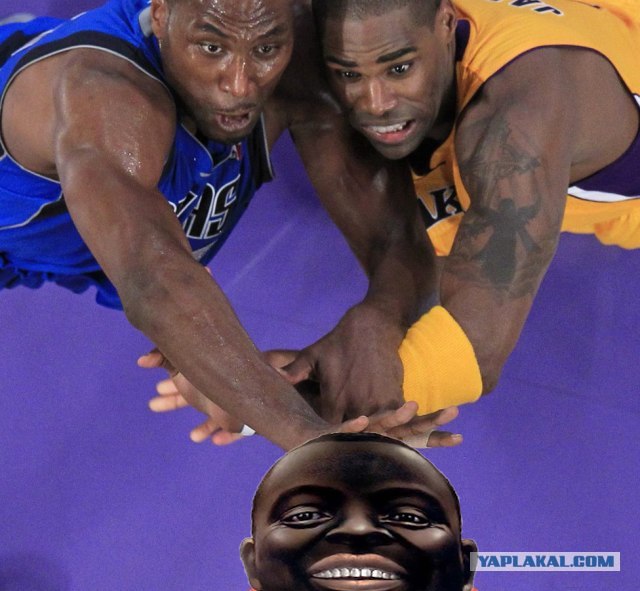 Ну очень жабельная фотография!