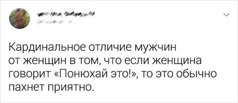 Весёлый полтишок 20.07
