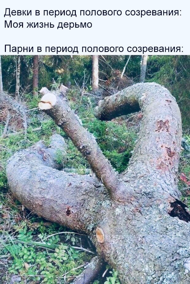 Пятница. И немного слегка пошлых картинок с надписями и без 16+ (18.03)