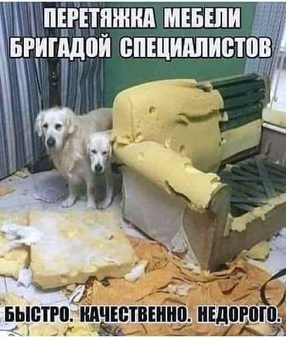 Картинки с надписями 28.07.22