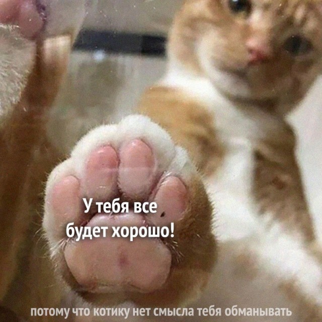 Немного картинок для настроения - 129
