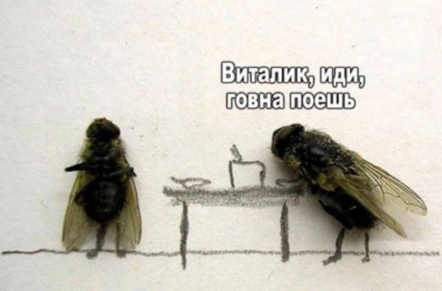 Готовится заявление НАТО и ООН
