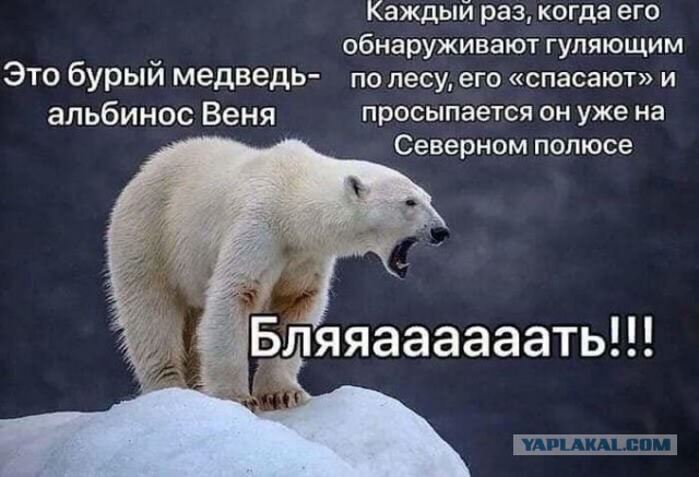 Так себе картинки 03.11.22