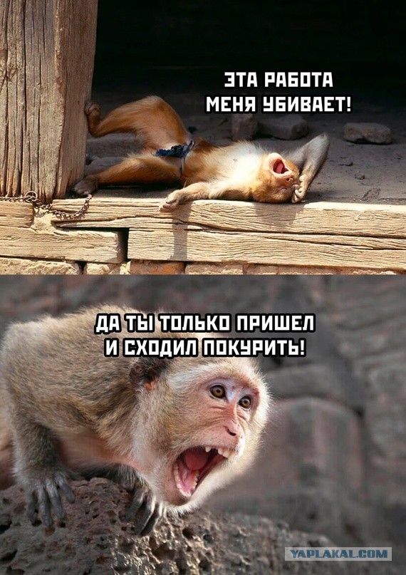 «Как же мне всё это надоело»: 70% дальневосточников устали.