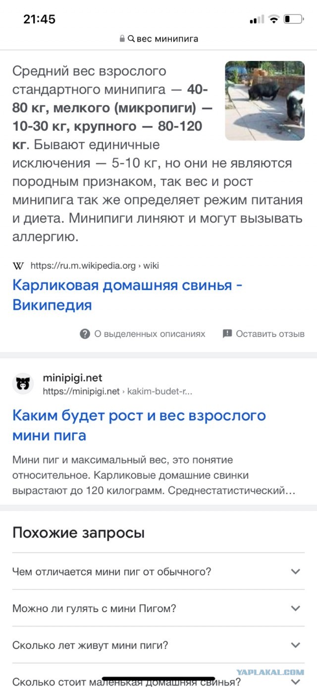 Произошел просто вопиющий случай, прошу огласки и внимания общественности!