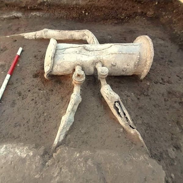 интересные факты из моды. исторические факты. исторические факты. династия романовых картина. интересные факты про 19 век.