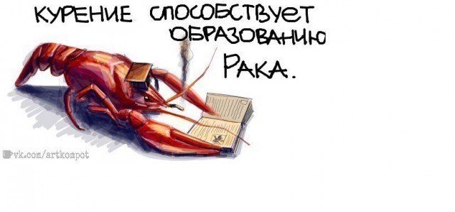 Нуштош 24.07.2024