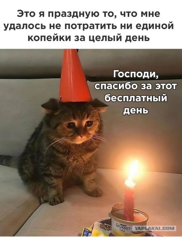 Как я разоблачил наё*ку в "пятерочке"