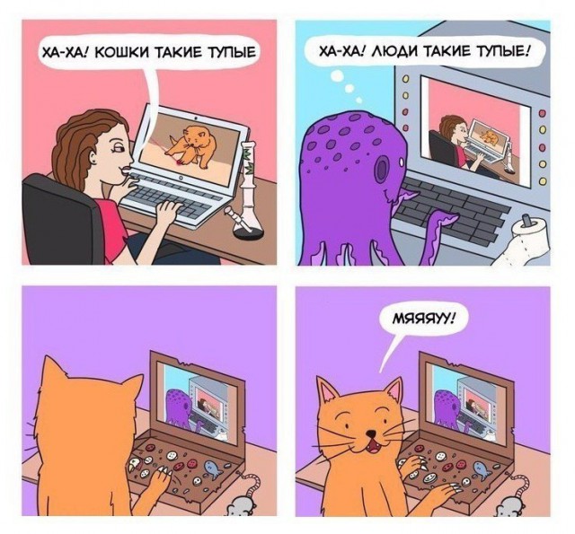 Текст песни почему котикам компьютеры не нравятся