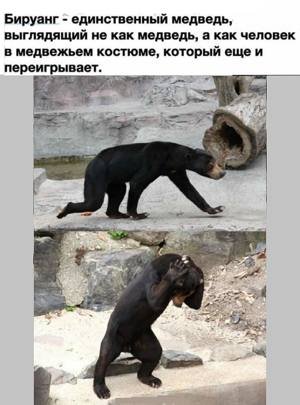 Картинки разные с надписями и без
