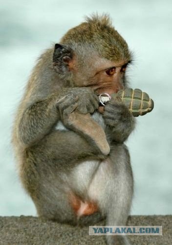 Дама выполянет простой маневр