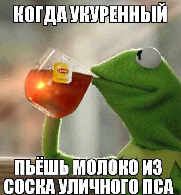 Без морали
