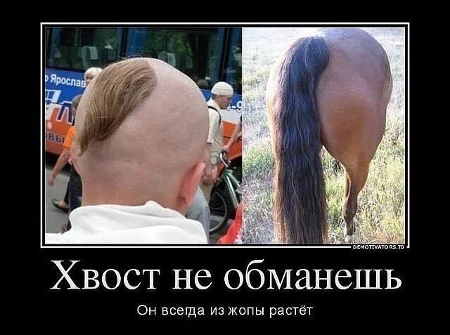 Зачем запорожские казаки носили чуб на бритой голове? Почему над этой прической так смеялись русские?