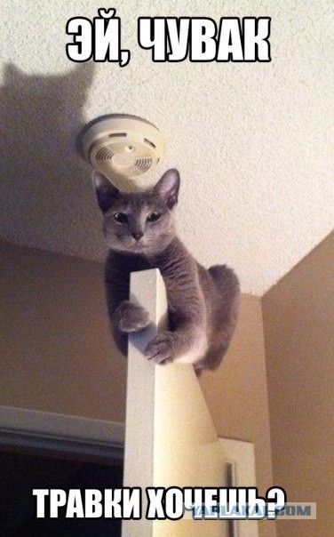 Осталось совсем немного