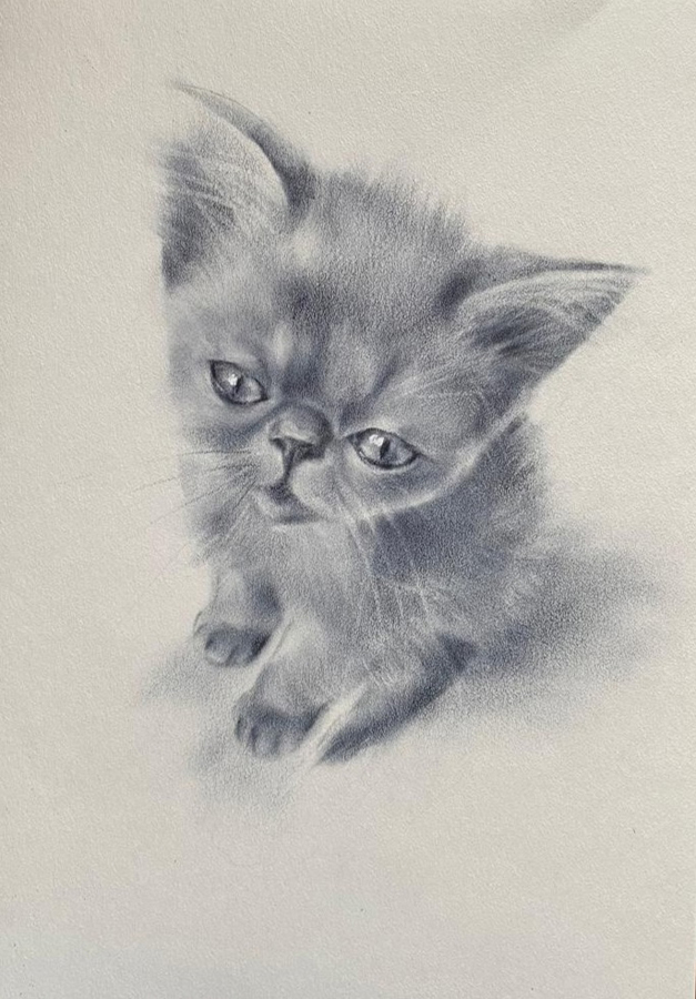 Мои рисунки