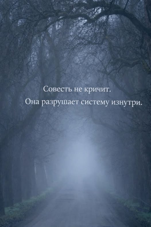 Картиночки, баянчики 12 января