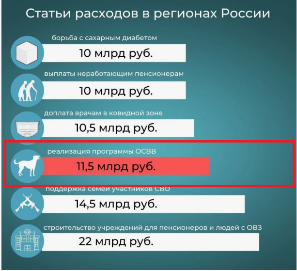 Собаку Додобоню, из-за которой россияне «отменяли» «Додо Пиццу», доставили в приют