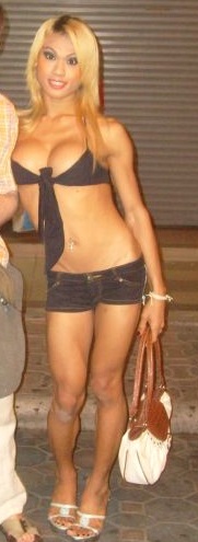 Пособие выезжающим в Таиланд