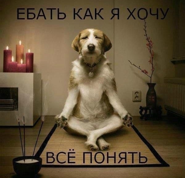 Вот так бывает.