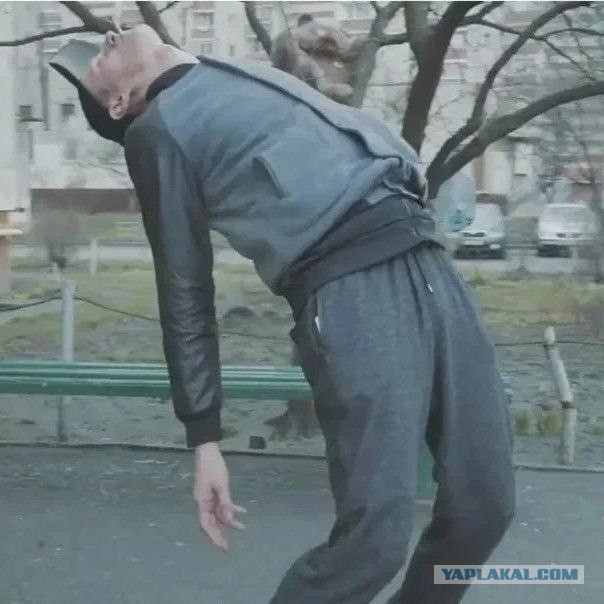 Федя, дичь!
