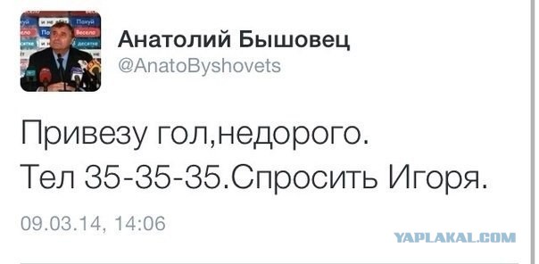 Спорт с улыбкой, интересности в сети