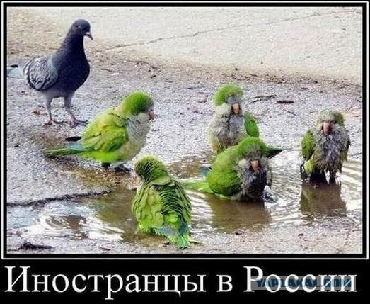 Позитивные картинки