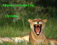 Добряки, плюсующие всех подряд